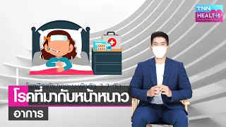  ฝุ่น PM 2.5 ส่งผลต่อสุขภาพอย่างไร และใครเป็นกลุ่มเสี่ยงมากที่สุด 