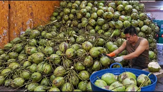 How Many Coconuts Can Be Cut in 10 Min? Coconut & Durian cutting&harvesting_10分鐘狂砍椰子＋現劈榴槤！這是人類的手速嗎？