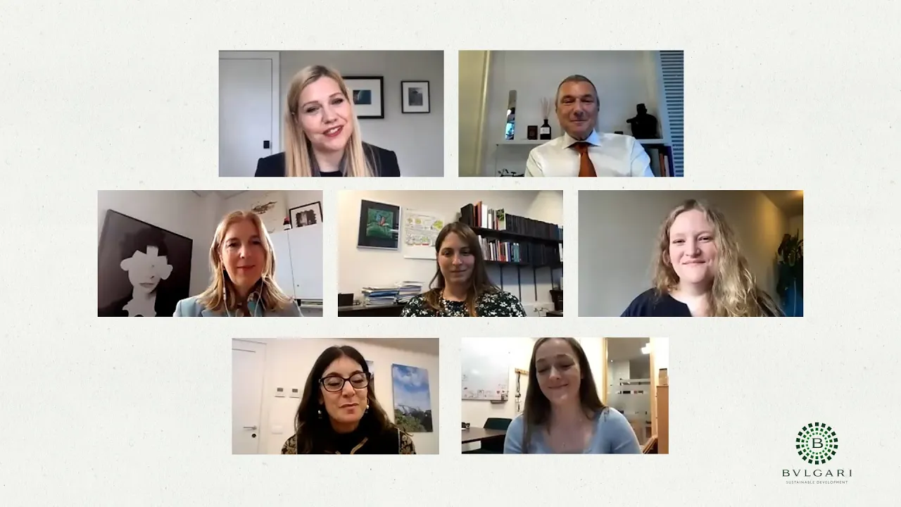 Video Webinar part 4