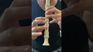 تعلم العزف على الريكوردر الفلوت  تعلم العزف على الريكوردر الفلوت
