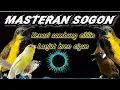 Download Lagu MASTERAN SOGON MATERI KENARI SAMBUNG CILILIN,CIGUN#sogon #masteranburung#masteransogon #sogokontong