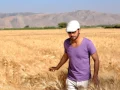 Majid Almohandis - Ana Wyak | ماجد المهندس - انا وياك