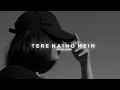 Download Lagu The Bilz \u0026 Kashif - Tere Naino Mein ( slowed + reverb )