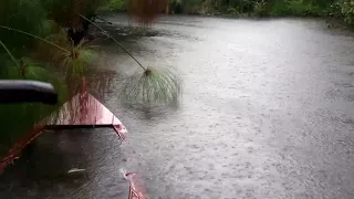 الالمطر على البحيرة للنوم الاسترخاء التأمل الدراسة أو تهدئة الطفل 