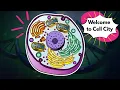 Cell Structure and Function in 8 Minutes Organelles Explained