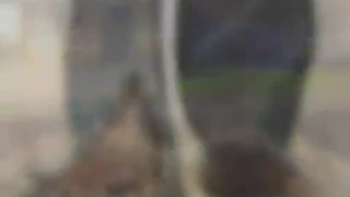 Nawara Nawara Dahbi شحال قدك 