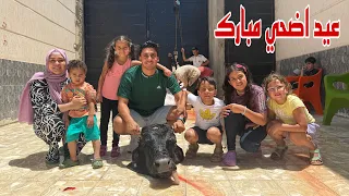 فلوج عجل العيد مع العائلة قصة حب صالح وأصالة 