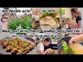 Download Lagu හිත පිරෙන්නම මේ පාරත් ♥️| Life in japan 🇯🇵🇱🇰