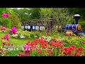 Lagu 【Hamanako Flower Expo 2024】Mooie tuinrondleiding! Hamamatsu bloemenpark!