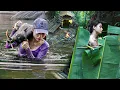 Download Lagu Full video: 30 days survival and bathe comfortably in the wild - Bushcraft camping | Ms yang