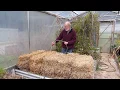 Creating an Organic Straw Bale Garden - The conditioning process