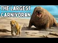 The Largest Animals You ve Never Heard Of
