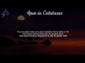 Drake - 4pm in Calabasas (Lyrics)