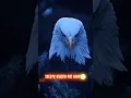 Download Lagu alag hu galat nahi  isliye bheed me kam akele jyada chalta hu🗿💀🦅😈💯