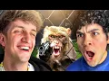 MEMES THAT ARE ADDICTING TO WATCH