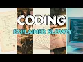Learn Programming In Your Sleep It Actually Works