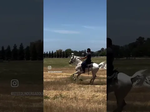 Punjab To California, Brown boys, First ride on the Arabian horse: Azaad!