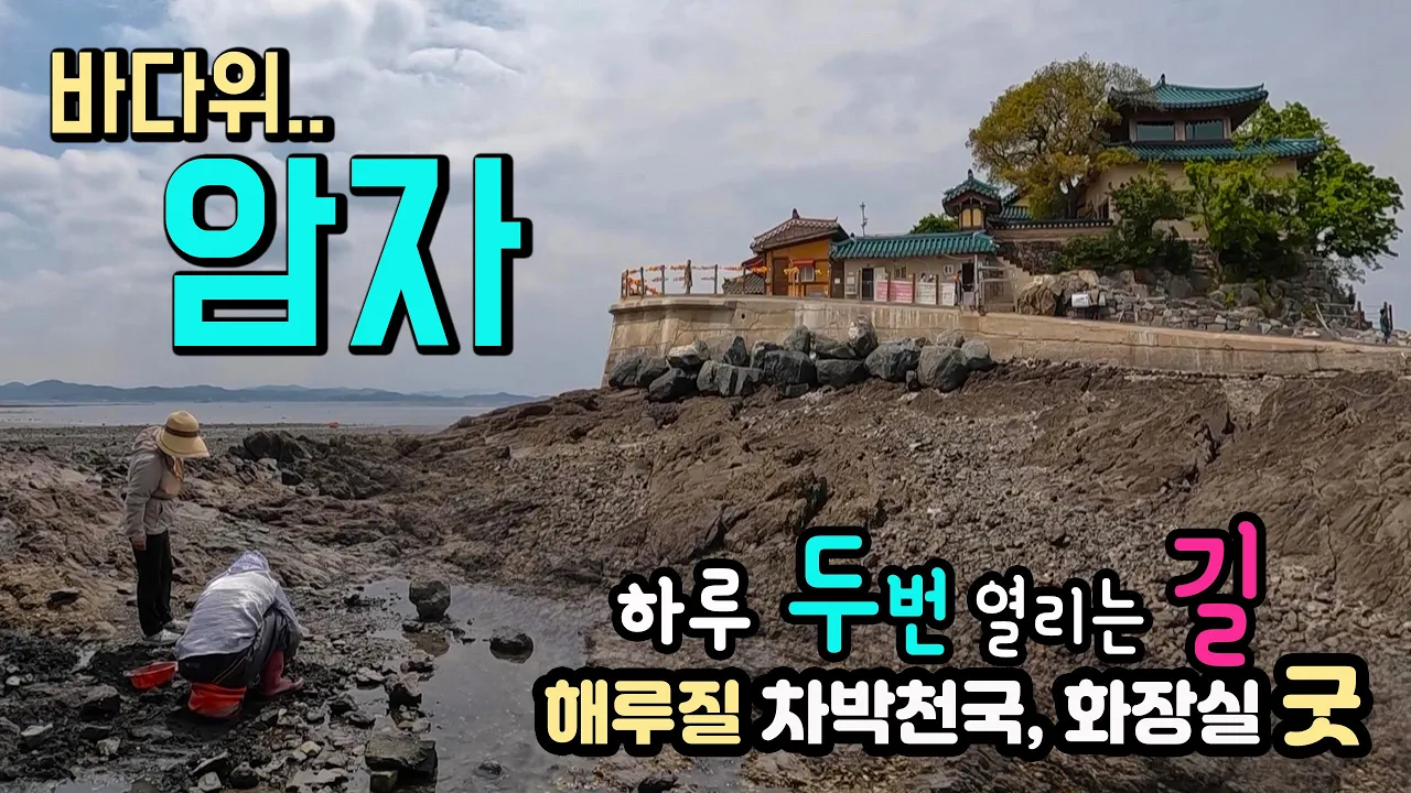 서산 간월도 차박러들이 추천하는 신비한 바다위 암자, 해루질 차박천국, 항구, 하루 두 번 길이 열리는 깨달음의 섬 서해안여행 간월도 간월암  캠핑카여행 차박노지 탐방. サムネイル