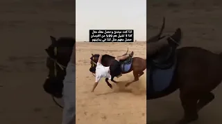 خيال مبتدئ يقع من الخيل خيل السعودية 