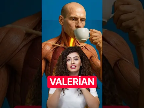 Valerian Əsəbi Sakitləşdirir? #sağlamlıq #valerian #валерианыч #birbax #sağlık #əsəb #xeber #yuxu