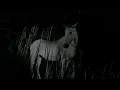 Download Lagu Noah Cyrus - Man In The Field (Official Visualizer)