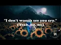 REX ORANGE COUNTY - SUNFLOWER (Live from Tiny Desk Concert) ~ Lyrics Video by Marites Vibes