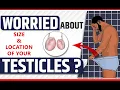 Worried about Size Location of Your Testicles I Why Does One Testis Hangs Lower than Other