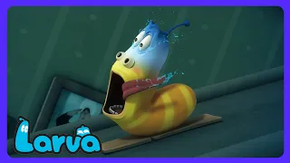 Larva - ¡Gran salto por la salchicha! 🎿 | Dibujos Infantiles | WildBrain Montana de Aventura