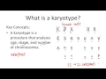 Karyotypes