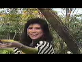 Download Lagu Ervinna - Jangan Parkir Di Situ (Sok Tahu) (1984) Original Music Video