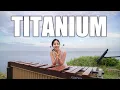 Titanium - David Guetta / Marimba cover