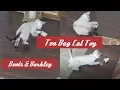 Cat Toy Review Boots Barkley Tea Bag cat toy