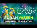 Lagu Surah Yasin with Urdu \u0026 Hindi Translation | Heart Touching Quran Tilawat | Beautiful Recitation