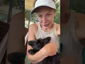 Download Lagu ŠNAUCERICA NALA 3 mj. - Krenulanu šetnju, ali ne voli četkanje. 🐾🐕‍🦺🐶🥰 #schnauzer #doglove