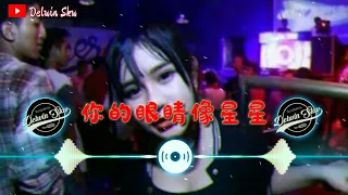 Download 刘至佳 - 你的眼睛像星星  Ni De Yan Jing Xiang Xing Xing DJ REMIX 2022 MP3