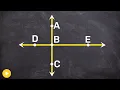 How to determine if points are collinear or noncollinear