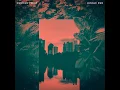Jungle Run (feat. Nubiya Brandon) - Nubiyan Twist