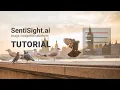 SentiSight ai labeling by image similarity tutorial
