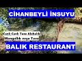 Download Lagu BALIK RESTAURANT, CİHANBEYLİ, İNSUYU