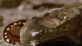 Dinosaur Death | Walking with Dinosaurs | BBC Studios