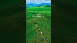 القارئ علي جابر مقاطع قصيره حالات واتساب تيك توك قران روعه جدا جدا 