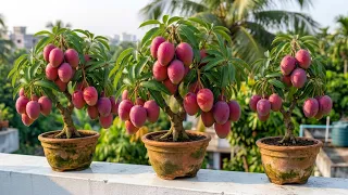 🌱 How to Propagate Mango Trees | How to Care for Mango Plants Before Planting