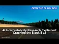 AI Interpretability Research Explained Cracking the Black Box