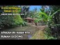 Lagu WARGA MENYEBUT NYA RUMAH GEDONG INI MUSTAHIL ADA RUMAH DI TENGAH HUTAN TANPA TETANGGA