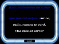 Julio Sosa - En esta tarde gris - Letra (lyrics)