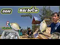 Lagu 50h.Cắm trại trên bãi biển thả lưới săn bắt hải sản bị mắt cạn gặp nhiều hải sản quý hiếm |Camping…
