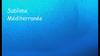 video_image