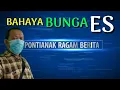 Download Lagu BAHAYA  BUNGA ES