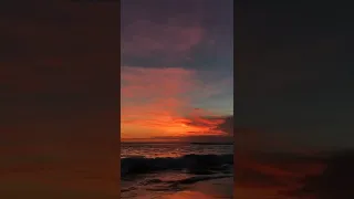 masteran gereja tarung tengkek udang ciblek brem panjang dan suara lovebird