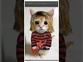 Download Lagu Cat Cobain?...🐈🎸 #nirvana #kurtcobain #shorts #music